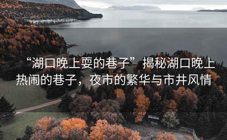 “湖口晚上耍的巷子”揭秘湖口晚上熱鬧的巷子，夜市的繁華與市井風情
