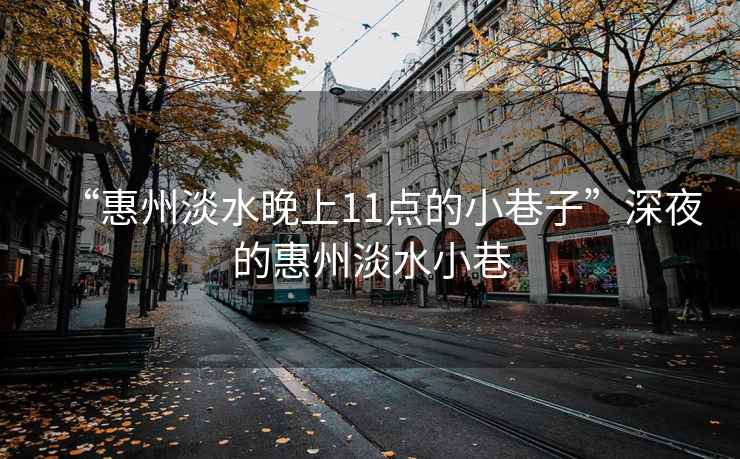 “惠州淡水晚上11點(diǎn)的小巷子”深夜的惠州淡水小巷
