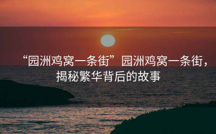 “園洲雞窩一條街”園洲雞窩一條街，揭秘繁華背后的故事