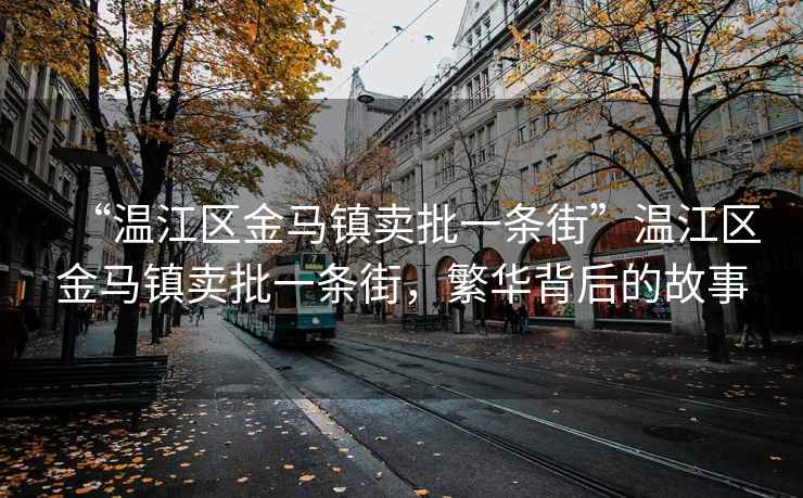 “溫江區(qū)金馬鎮(zhèn)賣批一條街”溫江區(qū)金馬鎮(zhèn)賣批一條街，繁華背后的故事