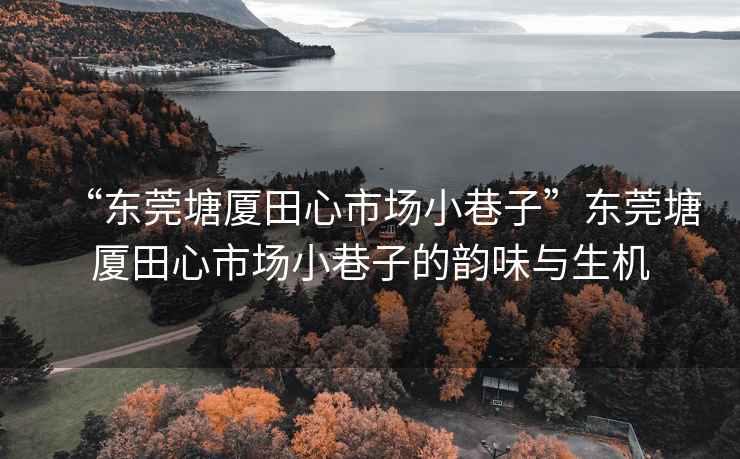 “東莞塘廈田心市場小巷子”東莞塘廈田心市場小巷子的韻味與生機(jī)
