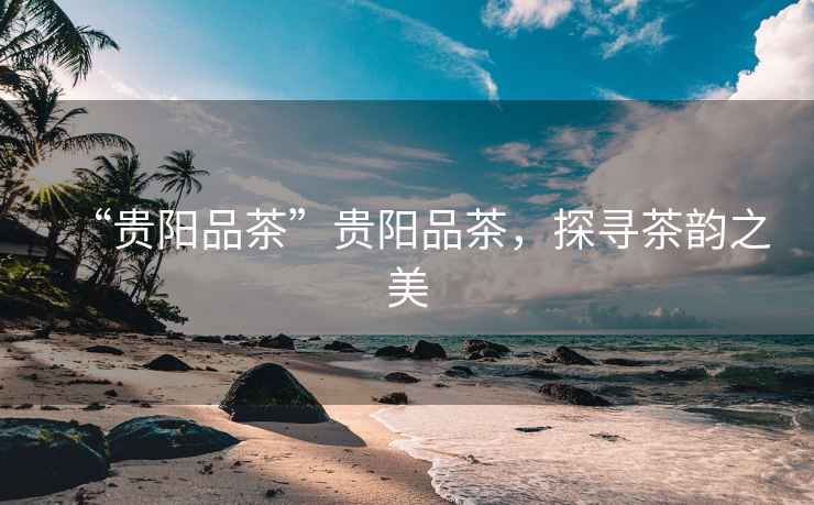 “貴陽品茶”貴陽品茶，探尋茶韻之美