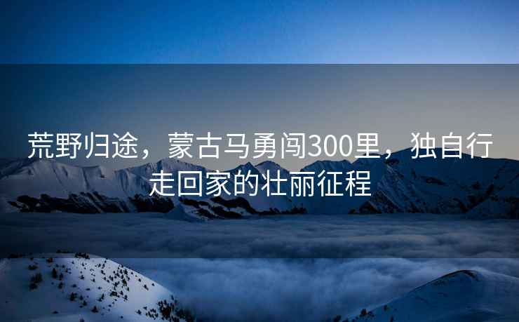 荒野歸途，蒙古馬勇闖300里，獨自行走回家的壯麗征程