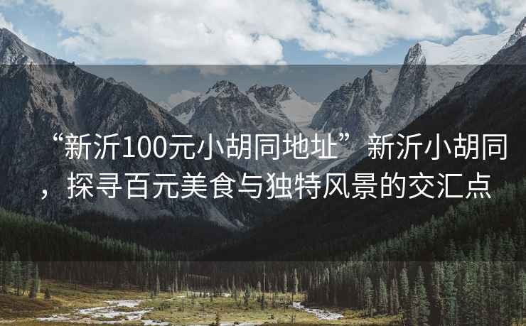 “新沂100元小胡同地址”新沂小胡同，探尋百元美食與獨特風景的交匯點