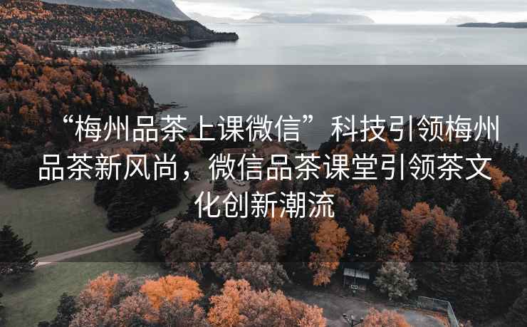 “梅州品茶上課微信”科技引領(lǐng)梅州品茶新風(fēng)尚，微信品茶課堂引領(lǐng)茶文化創(chuàng)新潮流