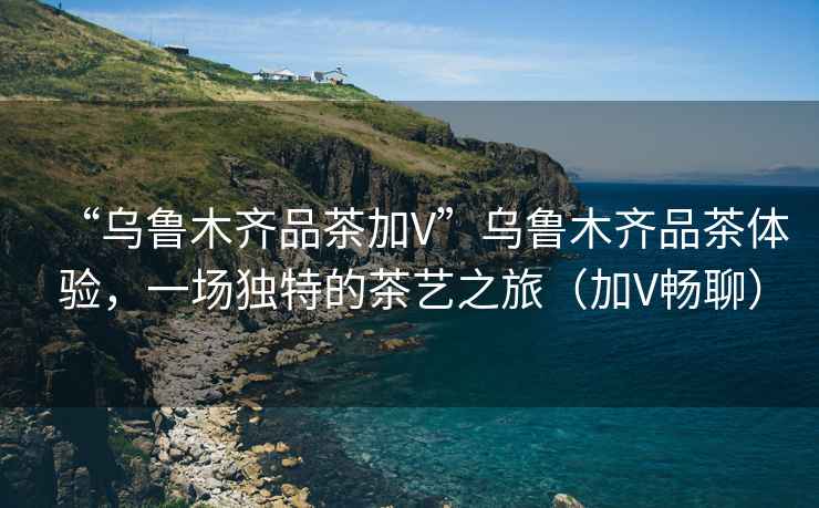 “烏魯木齊品茶加V”烏魯木齊品茶體驗(yàn)，一場獨(dú)特的茶藝之旅（加V暢聊）