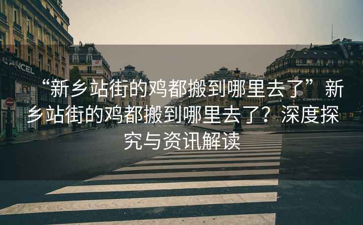 “新鄉(xiāng)站街的雞都搬到哪里去了”新鄉(xiāng)站街的雞都搬到哪里去了？深度探究與資訊解讀