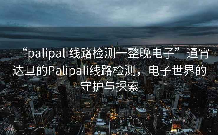 “palipali線路檢測一整晚電子”通宵達(dá)旦的Palipali線路檢測，電子世界的守護(hù)與探索