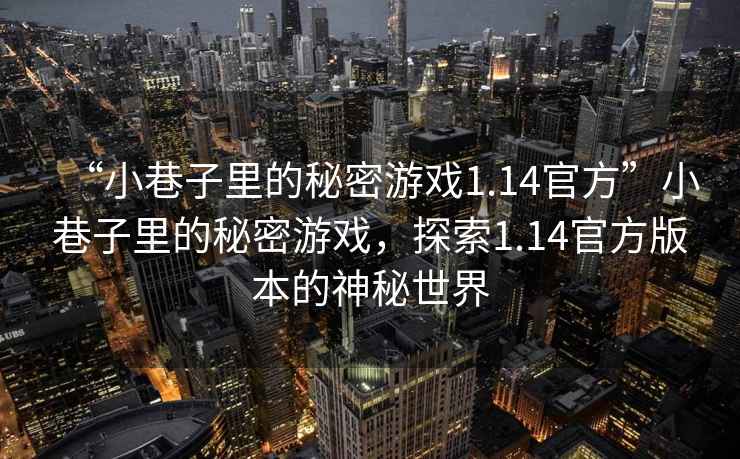 “小巷子里的秘密游戲1.14官方”小巷子里的秘密游戲，探索1.14官方版本的神秘世界