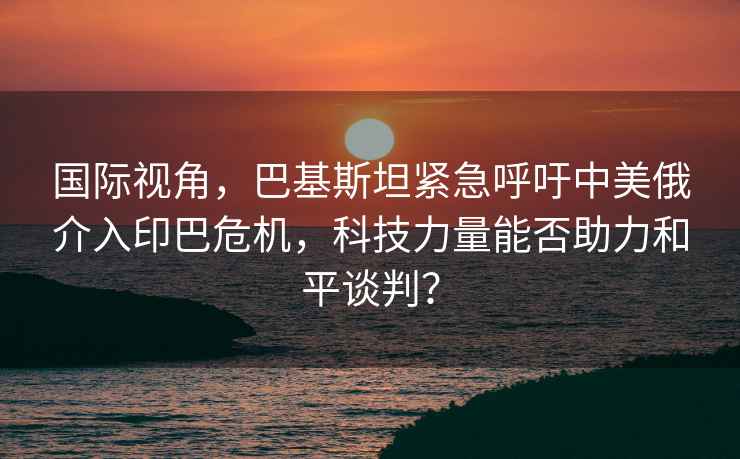 國際視角，巴基斯坦緊急呼吁中美俄介入印巴危機，科技力量能否助力和平談判？