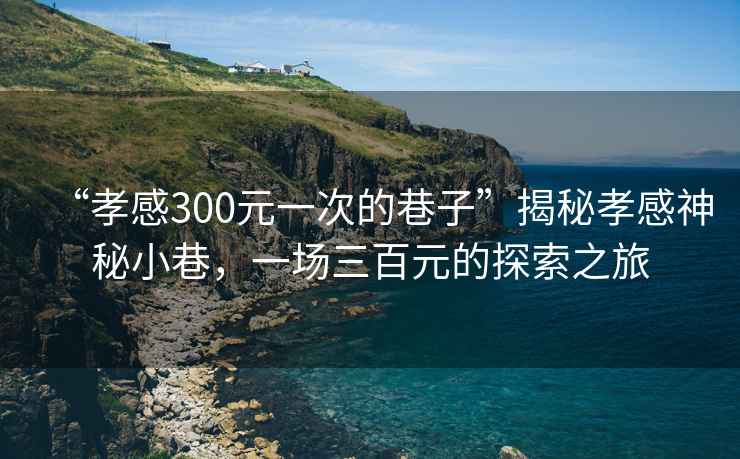 “孝感300元一次的巷子”揭秘孝感神秘小巷，一場三百元的探索之旅