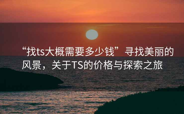 “找ts大概需要多少錢”尋找美麗的風(fēng)景，關(guān)于TS的價格與探索之旅