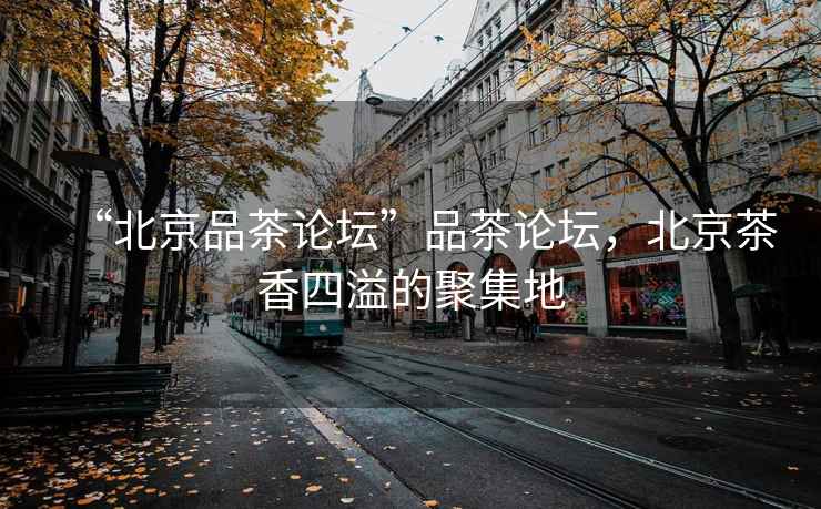 “北京品茶論壇”品茶論壇，北京茶香四溢的聚集地