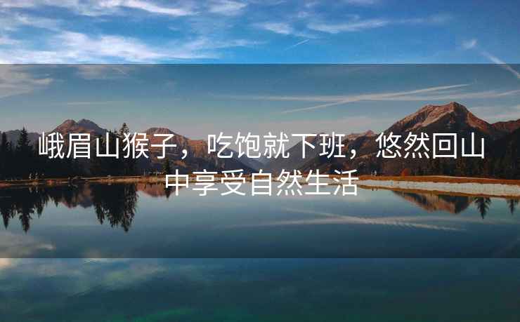 峨眉山猴子，吃飽就下班，悠然回山中享受自然生活
