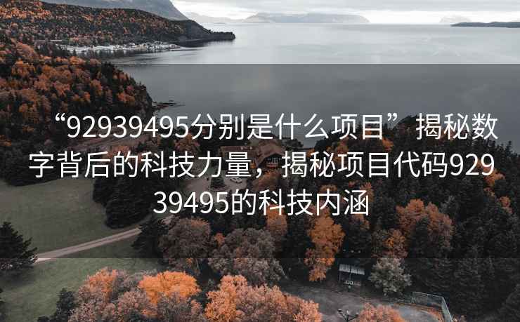 “92939495分別是什么項(xiàng)目”揭秘?cái)?shù)字背后的科技力量，揭秘項(xiàng)目代碼92939495的科技內(nèi)涵