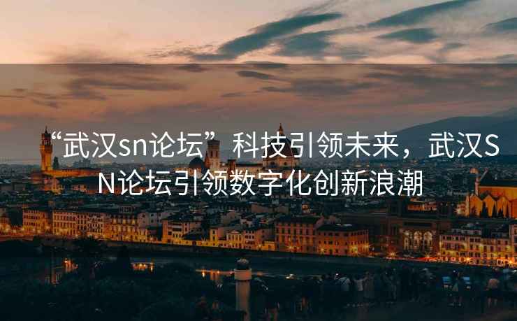 “武漢sn論壇”科技引領(lǐng)未來，武漢SN論壇引領(lǐng)數(shù)字化創(chuàng)新浪潮