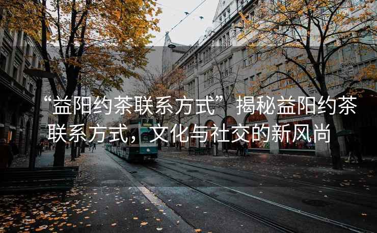 “益陽約茶聯系方式”揭秘益陽約茶聯系方式，文化與社交的新風尚