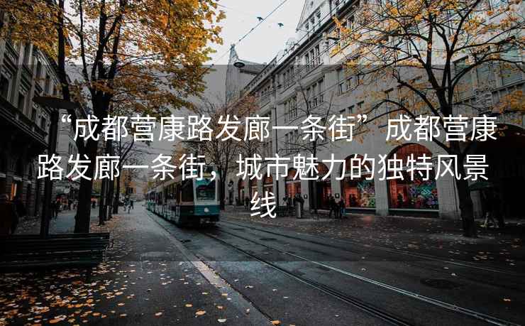 “成都營(yíng)康路發(fā)廊一條街”成都營(yíng)康路發(fā)廊一條街，城市魅力的獨(dú)特風(fēng)景線