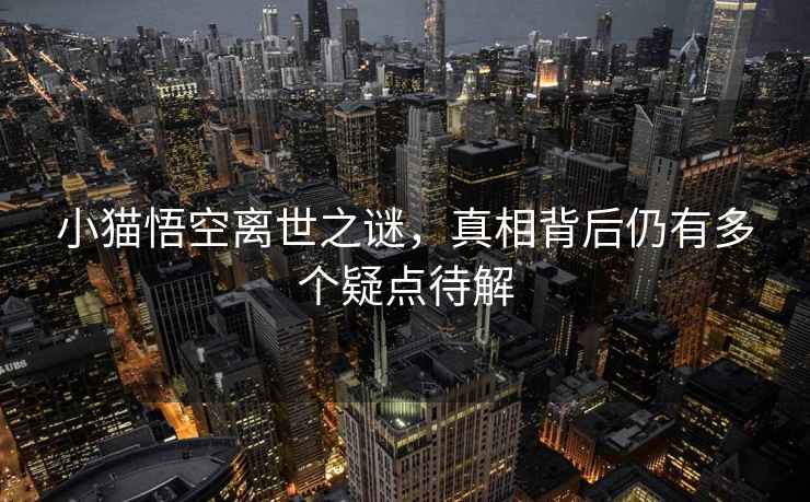 小貓悟空離世之謎，真相背后仍有多個(gè)疑點(diǎn)待解