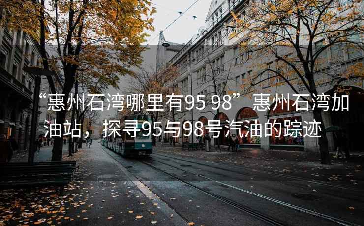 “惠州石灣哪里有95 98”惠州石灣加油站，探尋95與98號汽油的蹤跡