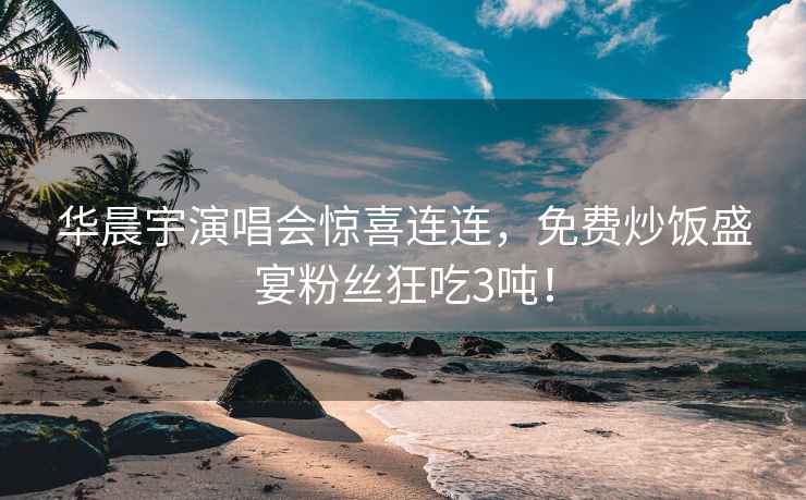 華晨宇演唱會(huì)驚喜連連，免費(fèi)炒飯盛宴粉絲狂吃3噸！