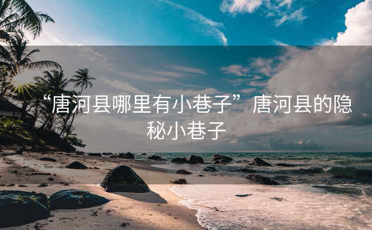 “唐河縣哪里有小巷子”唐河縣的隱秘小巷子