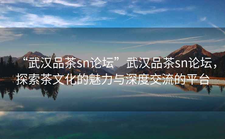 “武漢品茶sn論壇”武漢品茶sn論壇，探索茶文化的魅力與深度交流的平臺
