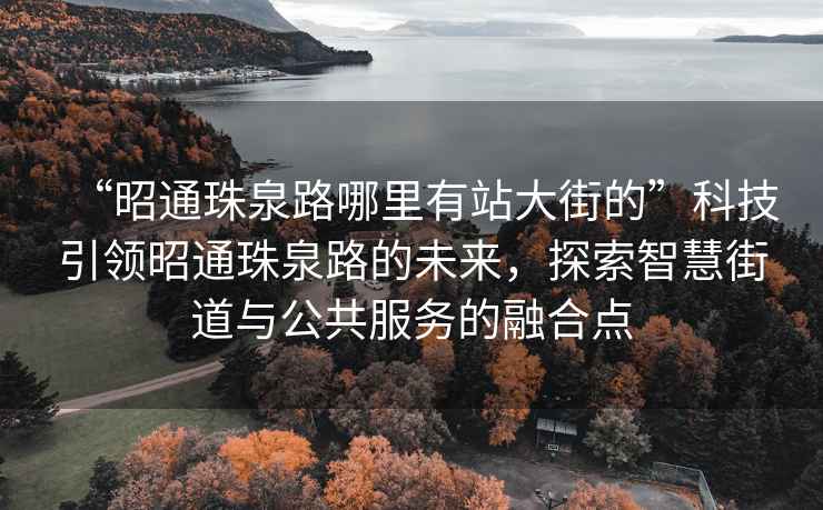 “昭通珠泉路哪里有站大街的”科技引領(lǐng)昭通珠泉路的未來，探索智慧街道與公共服務的融合點