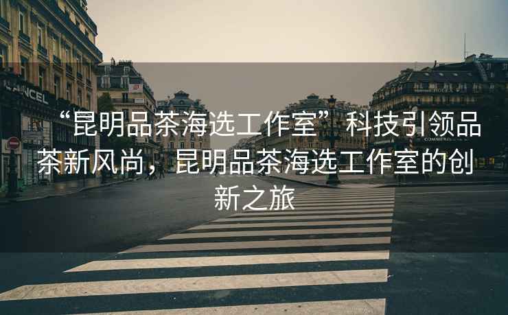 “昆明品茶海選工作室”科技引領(lǐng)品茶新風(fēng)尚，昆明品茶海選工作室的創(chuàng)新之旅