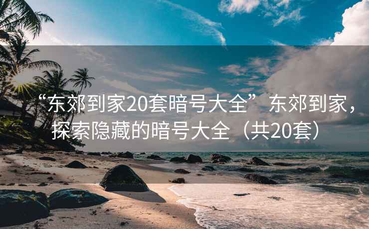 “東郊到家20套暗號大全”東郊到家，探索隱藏的暗號大全（共20套）
