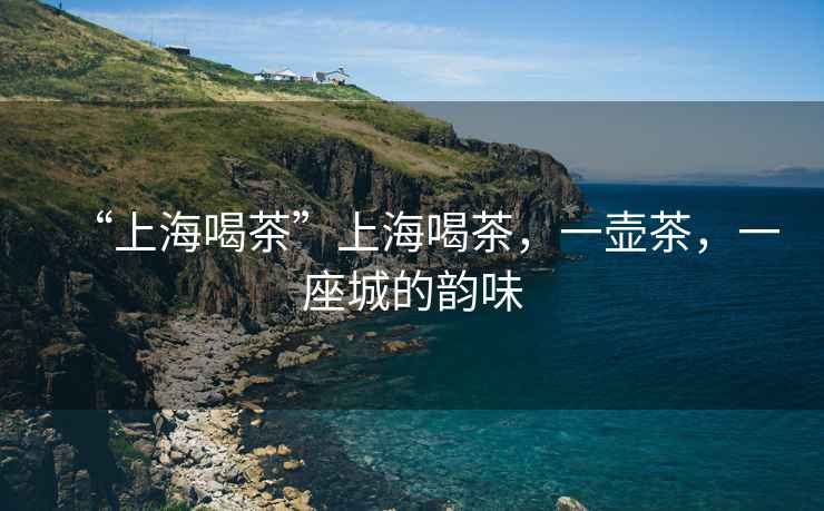 “上海喝茶”上海喝茶，一壺茶，一座城的韻味
