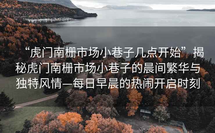 “虎門南柵市場小巷子幾點開始”揭秘虎門南柵市場小巷子的晨間繁華與獨特風(fēng)情—每日早晨的熱鬧開啟時刻