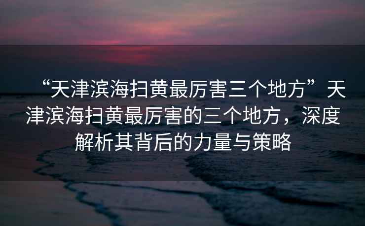 “天津?yàn)I海掃黃最厲害三個(gè)地方”天津?yàn)I海掃黃最厲害的三個(gè)地方，深度解析其背后的力量與策略