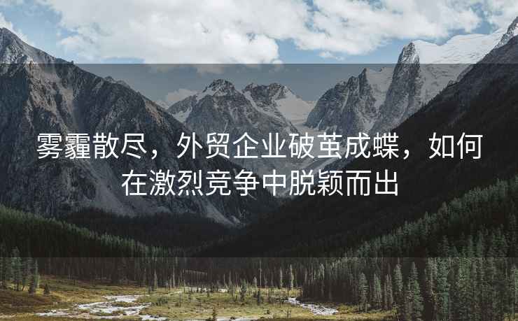 霧霾散盡，外貿(mào)企業(yè)破繭成蝶，如何在激烈競(jìng)爭(zhēng)中脫穎而出