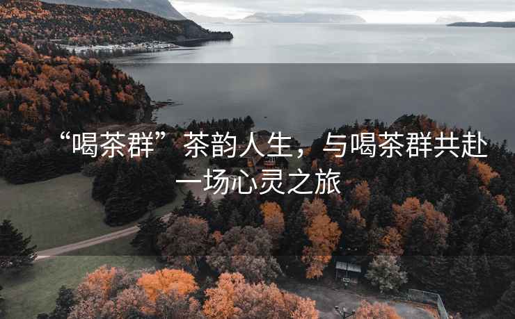 “喝茶群”茶韻人生，與喝茶群共赴一場心靈之旅