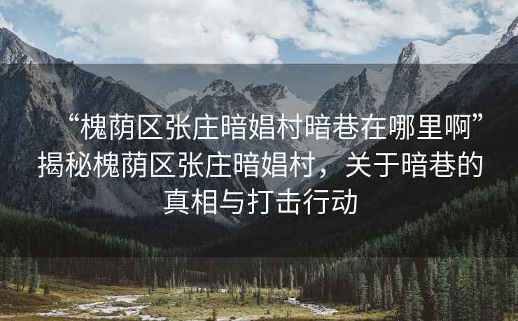 “槐蔭區(qū)張莊暗娼村暗巷在哪里啊”揭秘槐蔭區(qū)張莊暗娼村，關(guān)于暗巷的真相與打擊行動(dòng)
