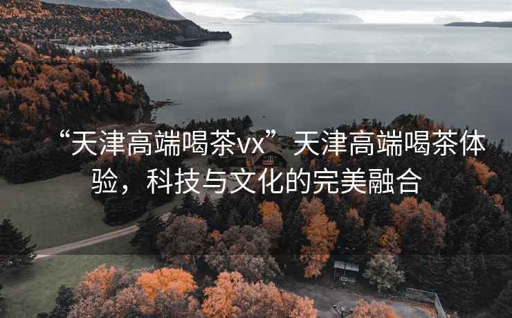 “天津高端喝茶vx”天津高端喝茶體驗，科技與文化的完美融合