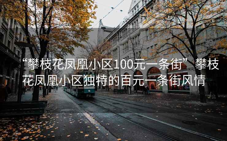 “攀枝花鳳凰小區(qū)100元一條街”攀枝花鳳凰小區(qū)獨特的百元一條街風(fēng)情