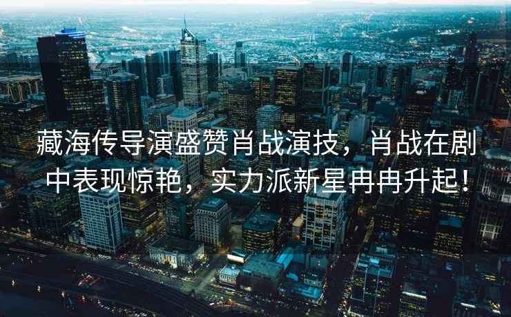 藏海傳導演盛贊肖戰(zhàn)演技，肖戰(zhàn)在劇中表現(xiàn)驚艷，實力派新星冉冉升起！
