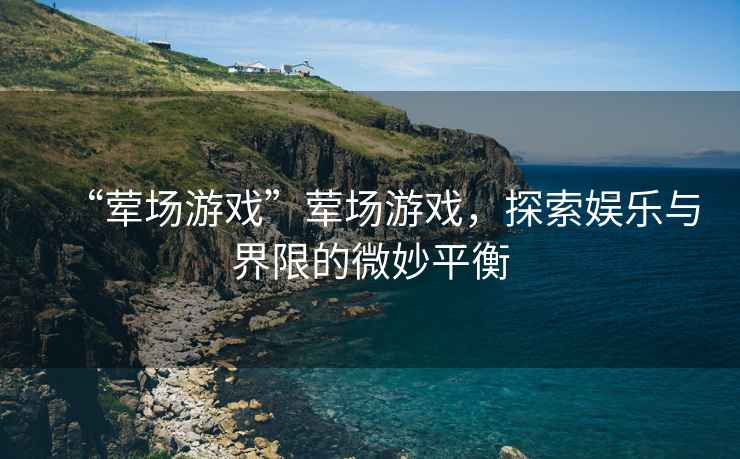 “葷場游戲”葷場游戲，探索娛樂與界限的微妙平衡