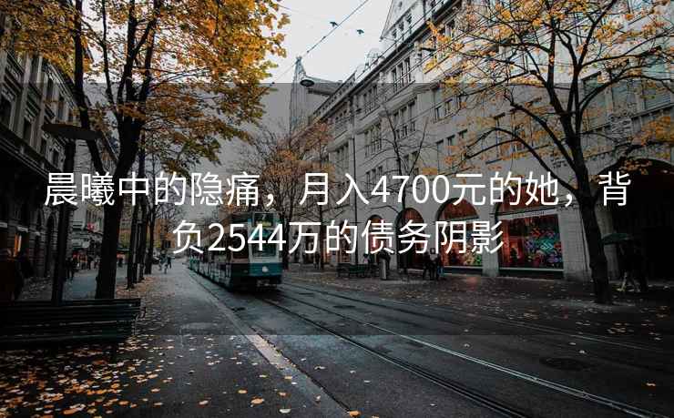 晨曦中的隱痛，月入4700元的她，背負2544萬的債務(wù)陰影