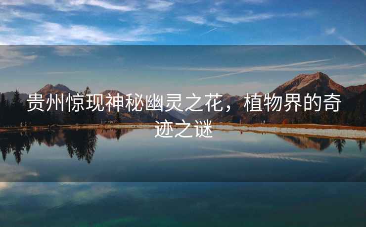 貴州驚現神秘幽靈之花，植物界的奇跡之謎