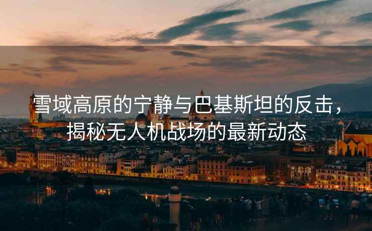 雪域高原的寧靜與巴基斯坦的反擊，揭秘無人機戰(zhàn)場的最新動態(tài)