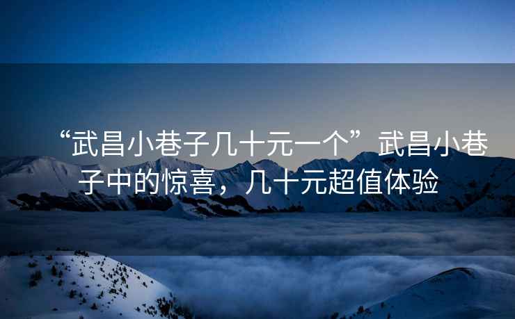 “武昌小巷子幾十元一個(gè)”武昌小巷子中的驚喜，幾十元超值體驗(yàn)