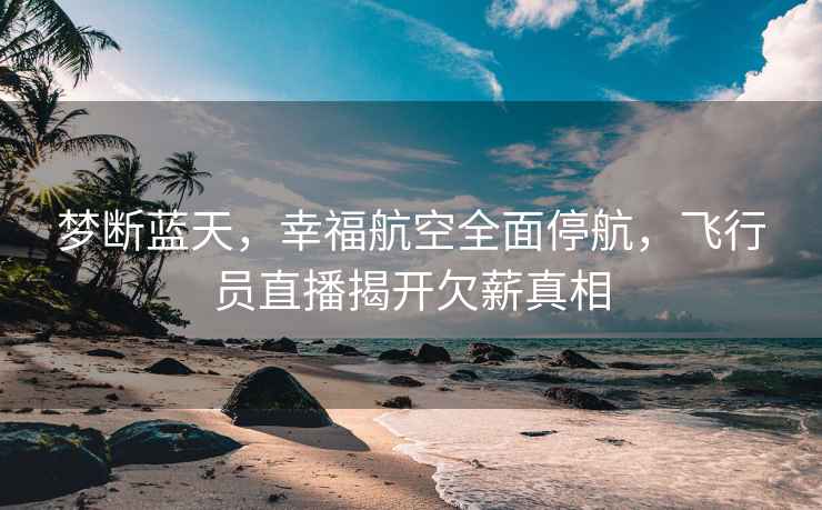 夢斷藍(lán)天，幸福航空全面停航，飛行員直播揭開欠薪真相