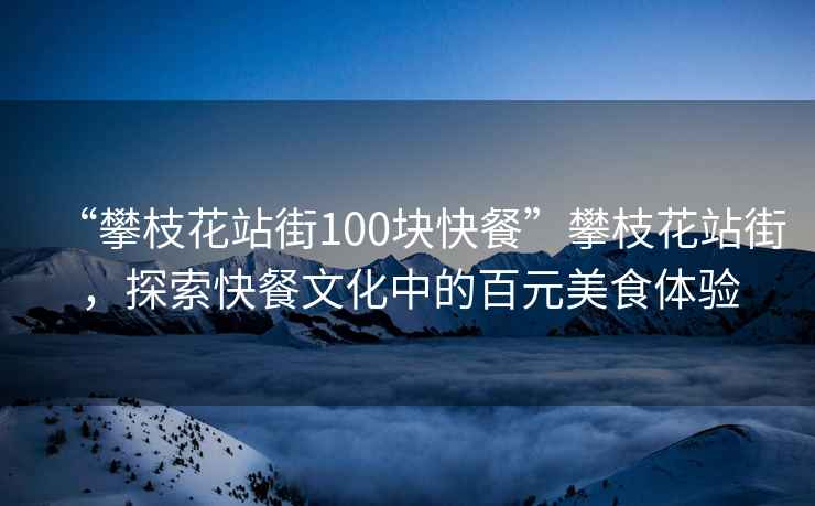 “攀枝花站街100塊快餐”攀枝花站街，探索快餐文化中的百元美食體驗(yàn)