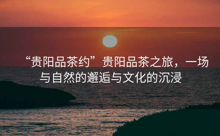 “貴陽品茶約”貴陽品茶之旅，一場與自然的邂逅與文化的沉浸