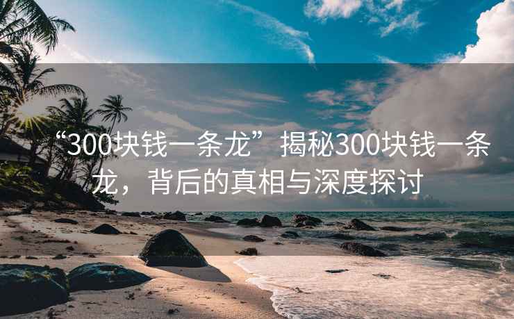 “300塊錢一條龍”揭秘300塊錢一條龍，背后的真相與深度探討