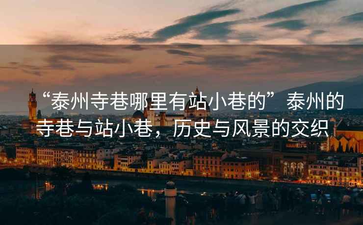 “泰州寺巷哪里有站小巷的”泰州的寺巷與站小巷，歷史與風(fēng)景的交織