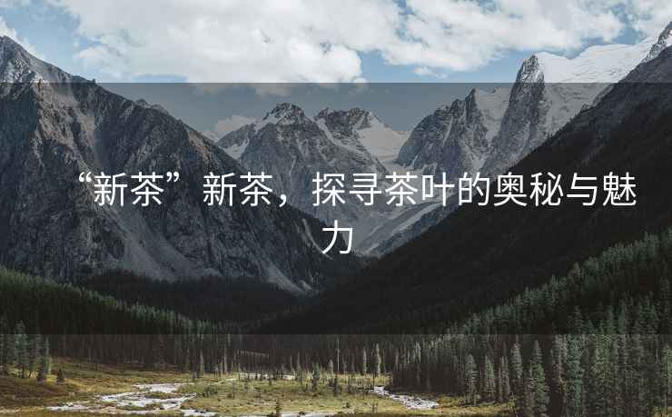 “新茶”新茶，探尋茶葉的奧秘與魅力
